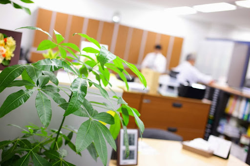 Kawasaki Pacific Law Office - Lawyer in Kawasaki, Japan