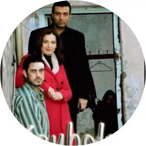 Kaybolan Yıllar - TV series