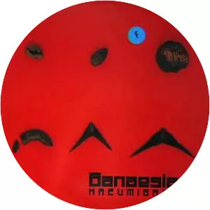 Kazumi Band - Musical artist