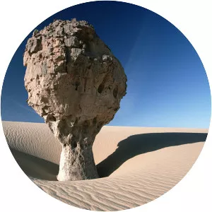 Kazuyoshi Nomachi - Japanese photographer