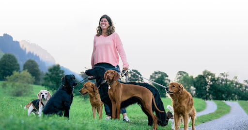 KB DOGS Hundebetreuung - Dog day care center in Kitzbuhel, Austria
