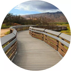 Kealia Pond National Wildlife Refuge - Coastal salt marsh in Hawaii