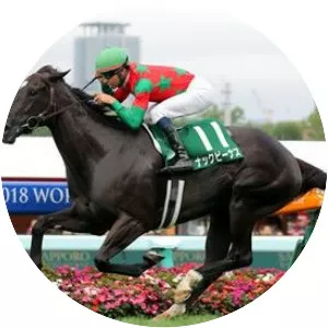 Keeneland Cup - 