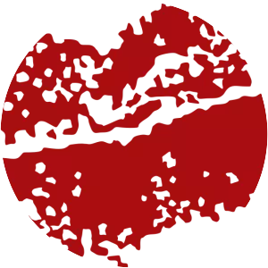 Keep It Straight and Simple Party