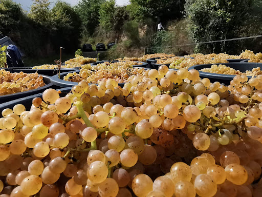 KeepitNatural Portugal, Lda