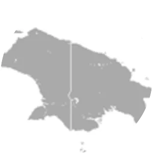 Kei flying fox - Animal