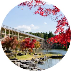 Keihanna Commemorative Park