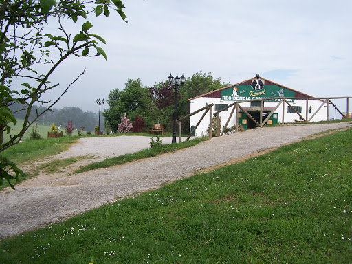Kennel Residencia Canina Felina - Dog day care center in Spain