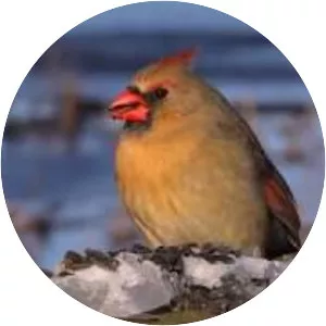 Kensington Metropark - 