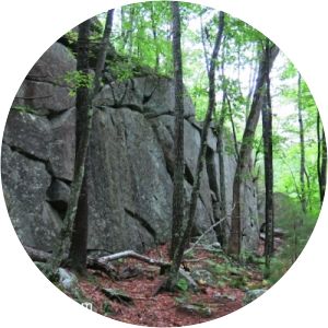 Kenyon Hill Preserve (Great Works Land Trust) - 