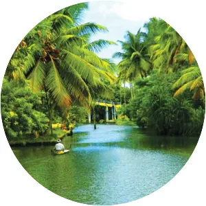 Kerala backwaters - 