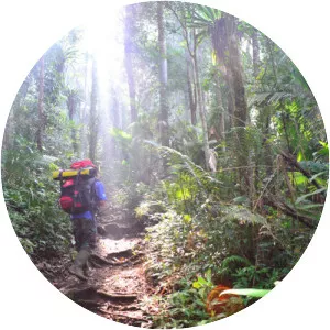 Kerinci Seblat National Park - 