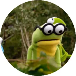 Kermit's Swamp Years