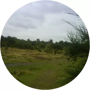 Kersal Moor