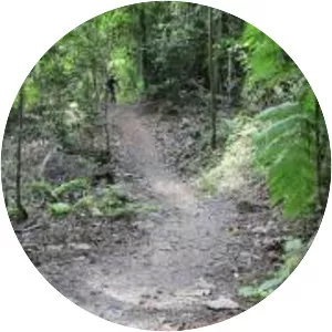 Ketam Mountain Bike Park