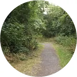 Ketley Town Halt railway station - 