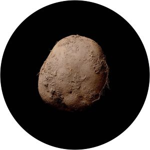 Kevin Abosch - Irish conceptual artist