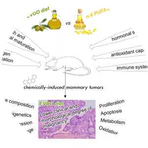 Kevin Andres Arroyo Lastra