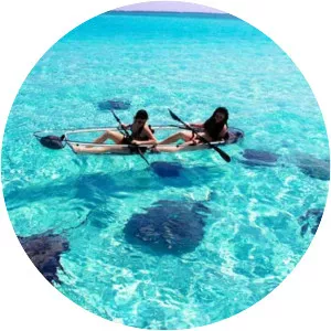 Key West National Wildlife Refuge - Wildlife refuge in Florida