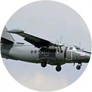 Khabarovsk Airlines Flight 463