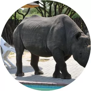 Khama Rhino Sanctuary - 