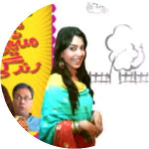 Khatti Meethi Zindagi