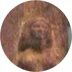 Khentetka - Djedefre's wife