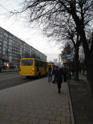 Khimichna St - Transit stop in Lviv, Ukraine