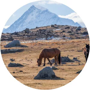 Khüiten Peak - Peak in China