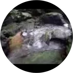 Khun Phawo National Park - 