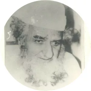Khwaja Qamar ul Din Sialvi