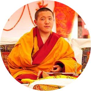 Khyentse Yangsi Rinpoche