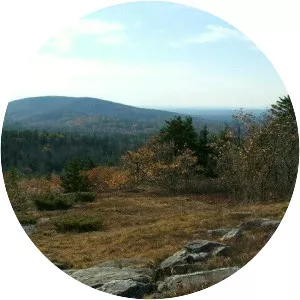 Kidder Mountain