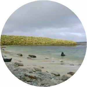 Kidney Island - Island in the Falkland Islands