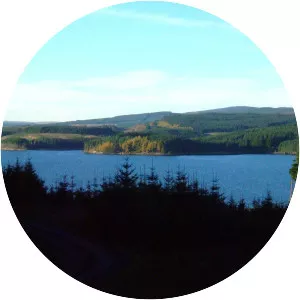 Kielder Forest - 