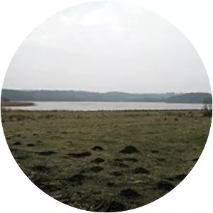 Kielstrup Sø - Lake in Denmark