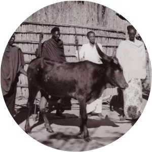 Kigeli I Mukobanya - 