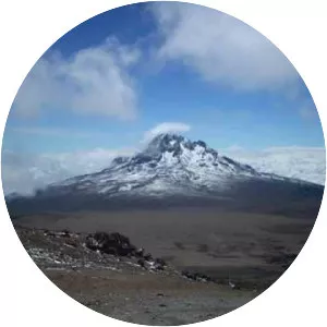 Killamanjaro - Musical artist