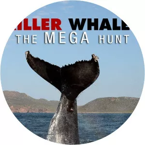 Killer Whales: The Mega HuntSince 2016