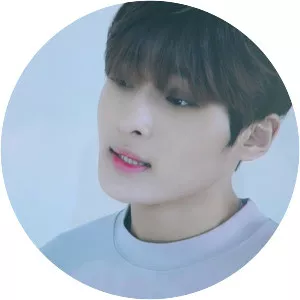 Kim Seong Ri Musician