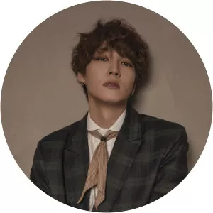 Kim Tae Hyun - Singer