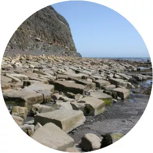 Kimmeridge Ledges - 