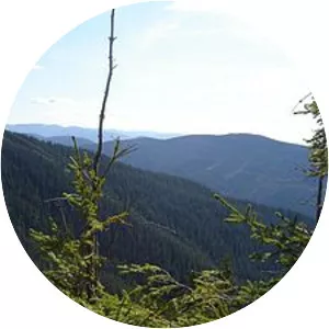 Kinetsʹ Horhanu - Mountain in Ukraine