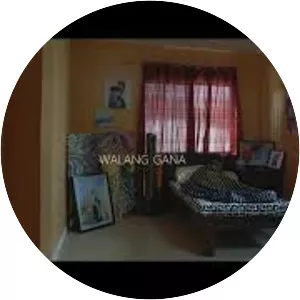 King Badger - Musical artist