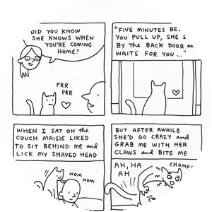 King- Cat Comics