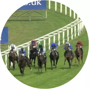 King George VI and Queen Elizabeth Stakes - 