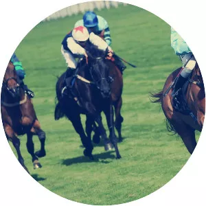 King George VI Chase