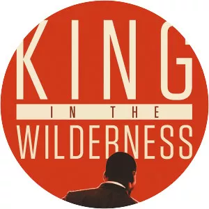 King in the Wilderness - 2018 ‧ Documentary ‧ 1h 51m