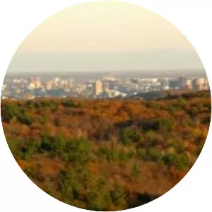 King Mountain Trail - 