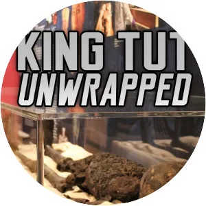 King Tut Unwrapped - TV program